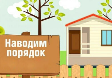 О результатах надзора за санитарным содержанием территорий