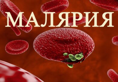 Профилактика малярии.