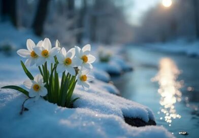 Обманчивая весенняя погода